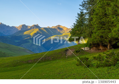 Coniferous forest edge in serene mountainous landscape Coniferous forest edge in serene mountainous landscape 138905443