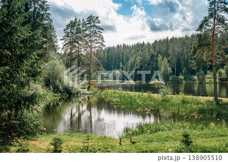 Beautiful forest lake in Russia. 138905510
