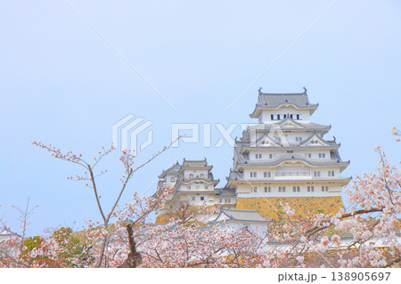 兵庫県姫路市、桜と姫路城の風景 138905697