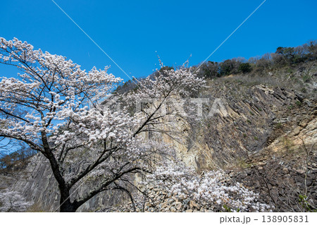 材木岩と満開の桜 材木岩と満開の桜 138905831