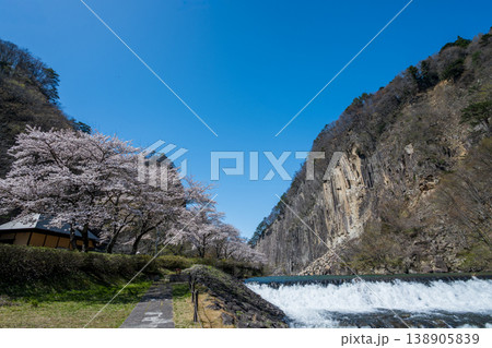 材木岩と満開の桜 138905839