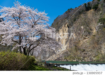 材木岩と満開の桜 138905937