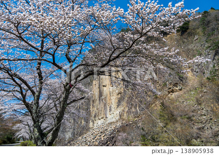 材木岩と満開の桜 138905938