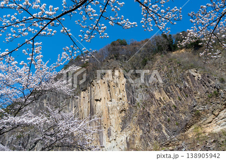 材木岩と満開の桜 138905942