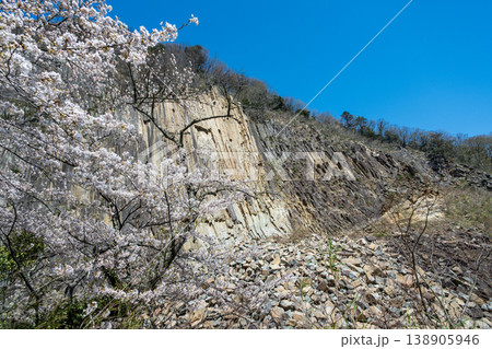 材木岩と満開の桜 材木岩と満開の桜 138905946
