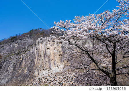 材木岩と満開の桜 138905956