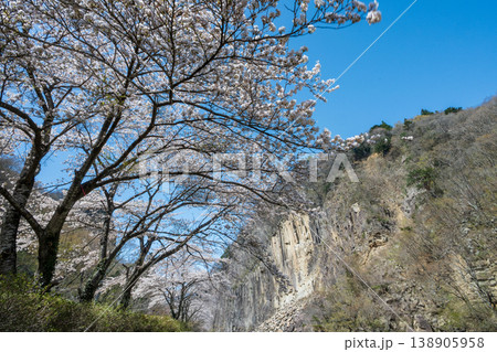 材木岩と満開の桜 材木岩と満開の桜 138905958