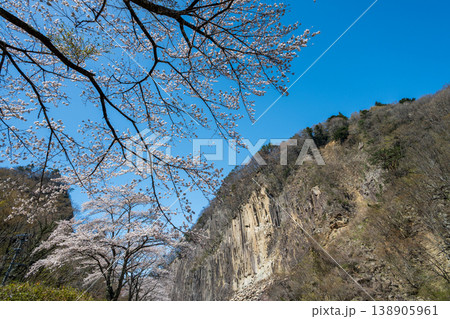材木岩と満開の桜 材木岩と満開の桜 138905961