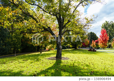 Township of Porepunkah in Australia Township of Porepunkah in Australia 138906494