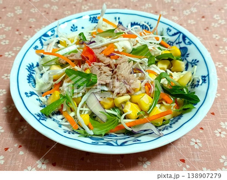 野菜サラダ 野菜サラダ 138907279