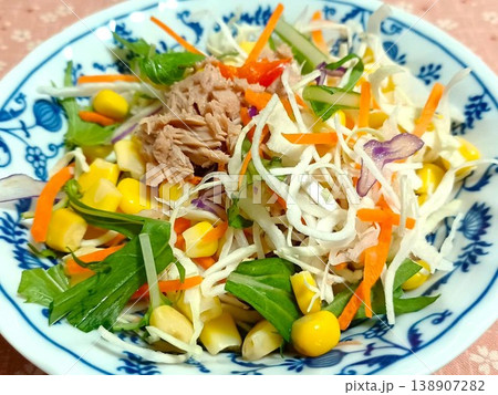 野菜サラダ 野菜サラダ 138907282