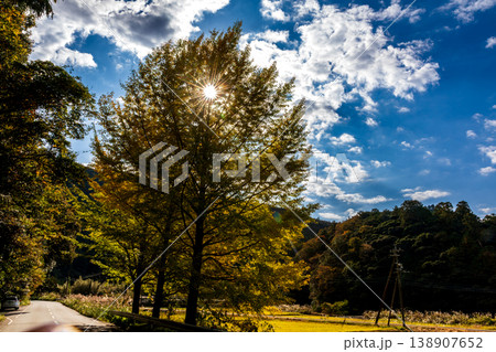 静岡県周智郡森町問詰　山里の風景 138907652