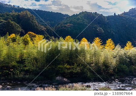 静岡県周智郡森町問詰 山里の風景 静岡県周智郡森町問詰 山里の風景 138907664