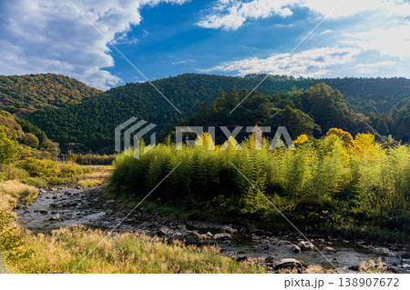 静岡県周智郡森町問詰 山里の風景 静岡県周智郡森町問詰 山里の風景 138907672