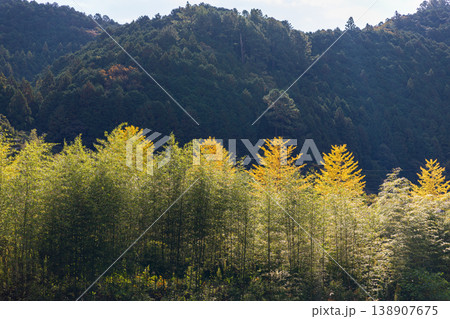 静岡県周智郡森町問詰 山里の風景 静岡県周智郡森町問詰 山里の風景 138907675