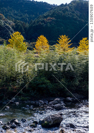 静岡県周智郡森町問詰 山里の風景 静岡県周智郡森町問詰 山里の風景 138907689