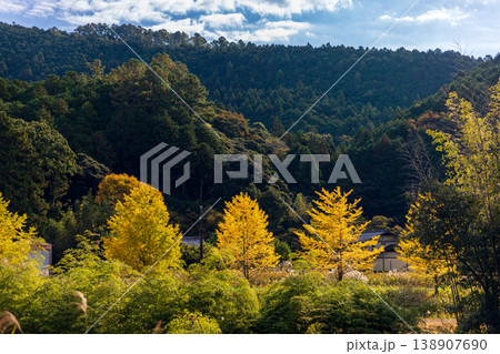 静岡県周智郡森町問詰 山里の風景 静岡県周智郡森町問詰 山里の風景 138907690