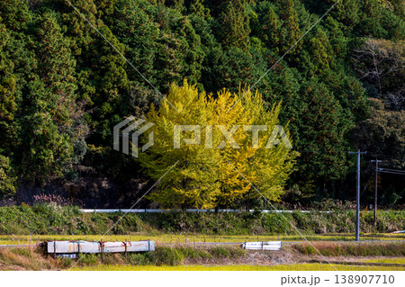 静岡県周智郡森町問詰　山里の風景 138907710