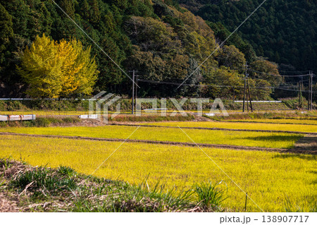 静岡県周智郡森町問詰 山里の風景 静岡県周智郡森町問詰 山里の風景 138907717