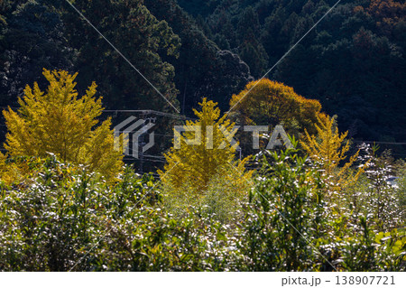 静岡県周智郡森町問詰　山里の風景 138907721