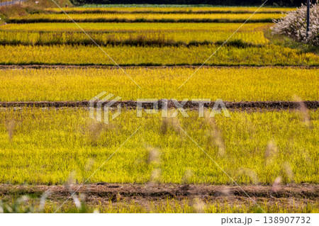 静岡県周智郡森町問詰 山里の風景 静岡県周智郡森町問詰 山里の風景 138907732