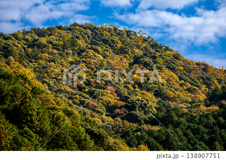 静岡県周智郡森町問詰 山里の風景 静岡県周智郡森町問詰 山里の風景 138907751