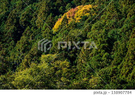 静岡県周智郡森町問詰　山里の風景 138907784