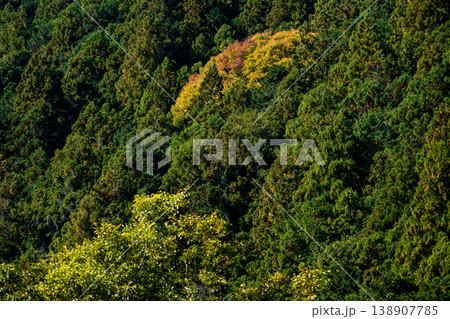 静岡県周智郡森町問詰 山里の風景 静岡県周智郡森町問詰 山里の風景 138907785