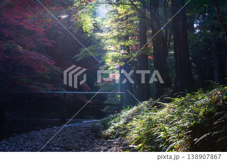 静岡県周智郡森町一宮　小國神社と周辺の風景 138907867