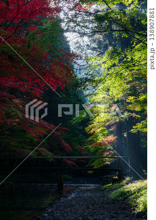 静岡県周智郡森町一宮　小國神社と周辺の風景 138907881
