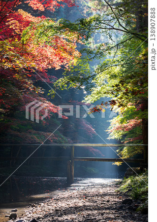 静岡県周智郡森町一宮 小國神社と周辺の風景 静岡県周智郡森町一宮 小國神社と周辺の風景 138907888