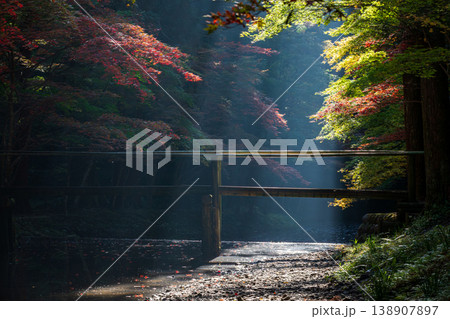 静岡県周智郡森町一宮　小國神社と周辺の風景 138907897