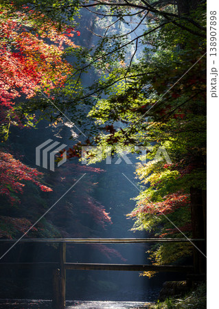 静岡県周智郡森町一宮　小國神社と周辺の風景 138907898