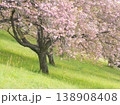日本の春爛漫の景色と美しい緑の絨毯 138908408