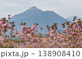 美しい桜の額がはえる高千穂峰 138908410