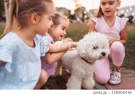 Three preschool age girls petting a bichon frise dog in a park 138908436