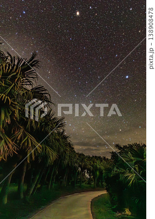 種子島・門倉岬のヤシ並木と満天の星空 種子島・門倉岬のヤシ並木と満天の星空 138908478