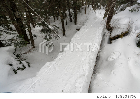 雪山の八ヶ岳、北横岳 雪山の八ヶ岳、北横岳 138908756