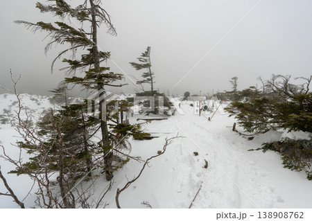 雪山の八ヶ岳、北横岳 雪山の八ヶ岳、北横岳 138908762