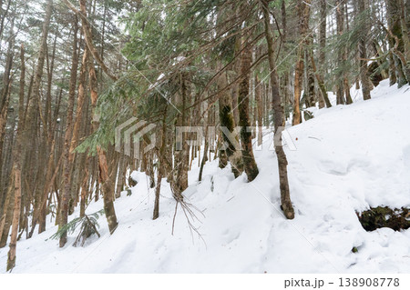 雪山の八ヶ岳、北横岳 138908778