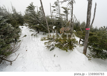 雪山の八ヶ岳、北横岳 雪山の八ヶ岳、北横岳 138908783