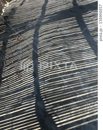 砂浜に映る防砂柵の影、海岸に設置された竹製防砂柵の芸術的なシルエット、防砂柵のシルエット 138908857