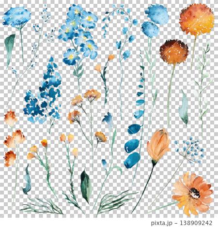 Watercolor burnt orange and cobalt blue wildflowers clipart, botanical wedding stationery set Watercolor burnt orange and cobalt blue wildflowers clipart, botanical wedding stationery set 138909242