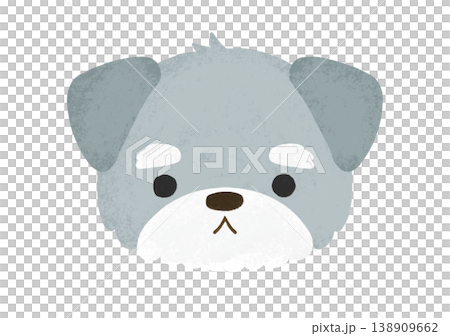 一隻表情擔憂的可愛迷你雪納瑞犬（插圖） 138909662