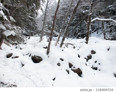 雪山の八ヶ岳、赤岳 138909728