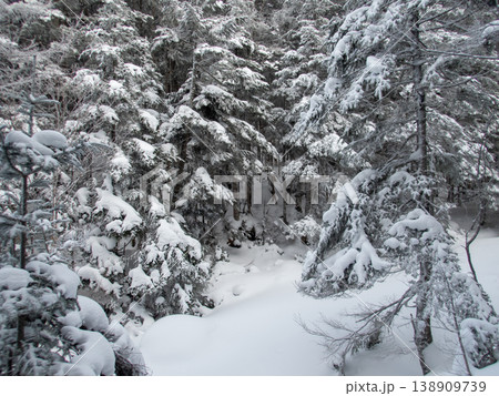 雪山の八ヶ岳、赤岳 雪山の八ヶ岳、赤岳 138909739
