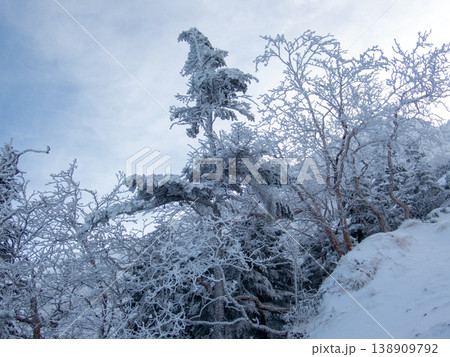 雪山の八ヶ岳、赤岳 138909792