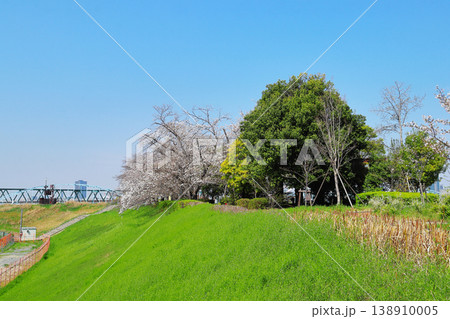 春の堤防の風景 138910005
