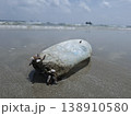 Ocean's Unwanted Guest: A weathered plastic bottle lies stranded on the sandy shore, a stark reminder of environmental pollution and the urgent need for conservation. 138910580