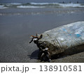 Ocean's Unwanted Guest: A weathered plastic bottle lies stranded on the sandy shore, a stark reminder of environmental pollution and the urgent need for conservation. 138910581